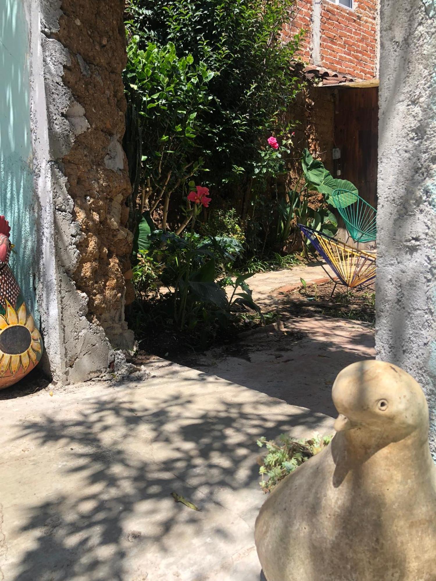 Hostal Casa Gaia ซานกริสโตบัล เด ลาสกาซาส ภายนอก รูปภาพ